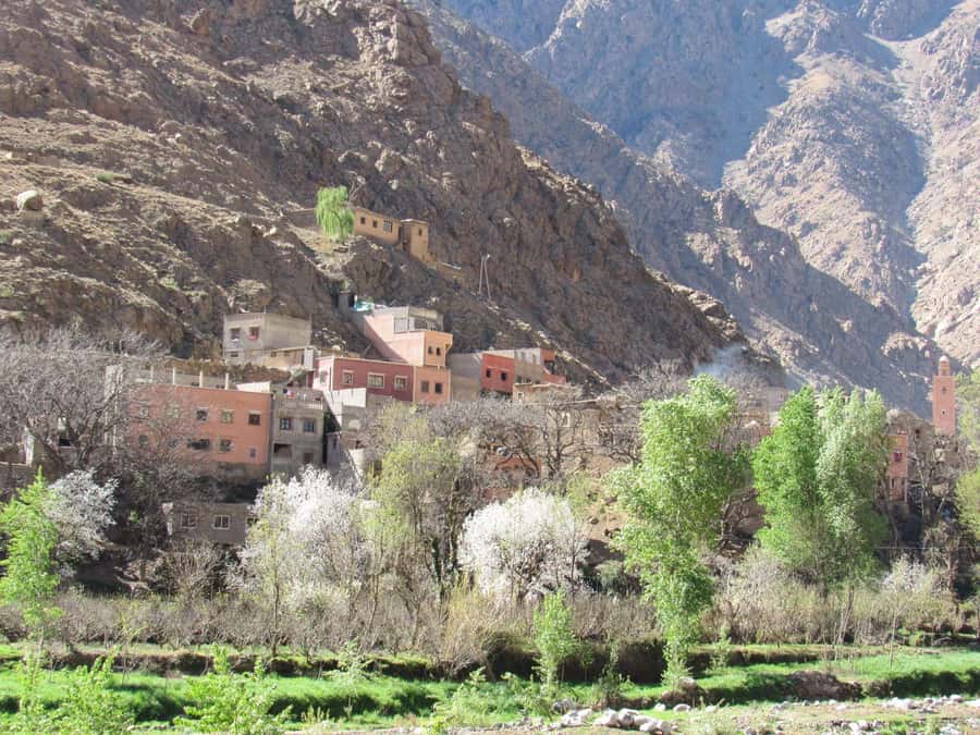 Ourika valley & atlas mountains guided tour from Marrakech - Hiking to the Ourika waterfalls