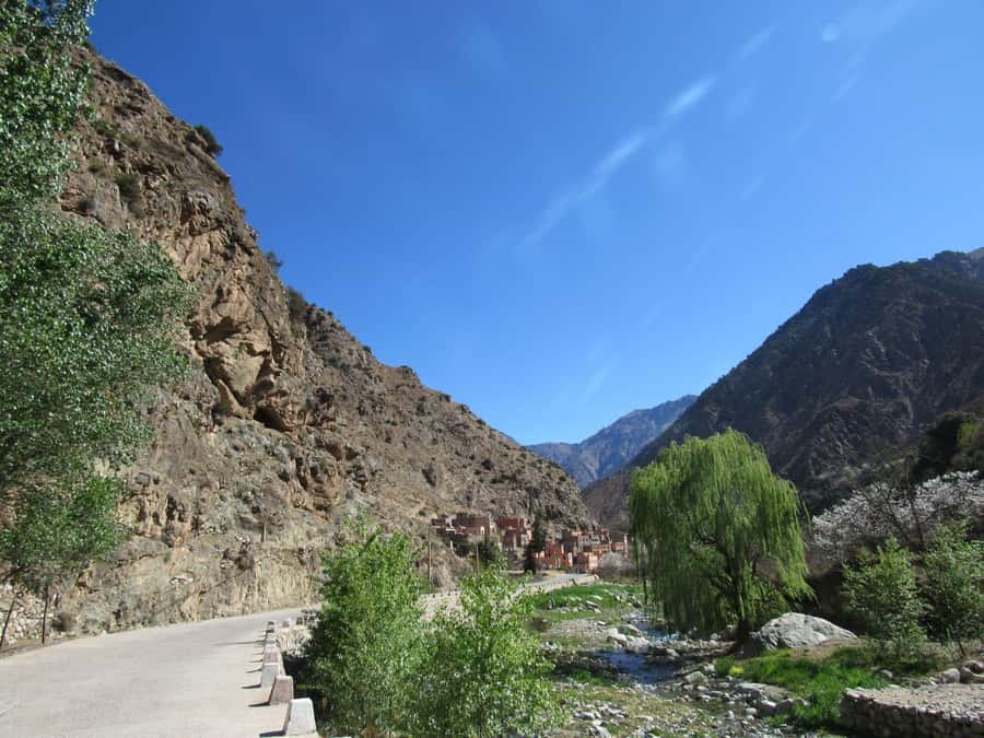 Ourika valley & atlas mountains guided tour from Marrakech - The argan oil cooperative stop