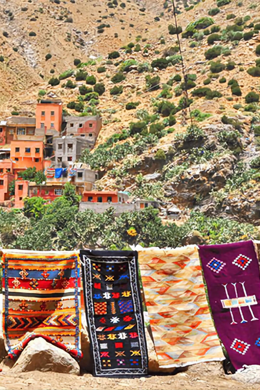 Ourika Valley, Atlas Mountains, Waterfalls & Guided Tour - Who should choose this Ourika day trip?