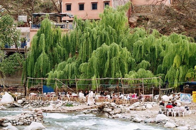 Ourika Valley Day Trip From Marrakech - Hiking to the Setti Fatma waterfalls