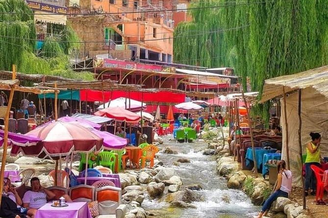 Ourika Valley Day Trip From Marrakech - Ourika Valley Marrakech - Comfort, pace, and who should book