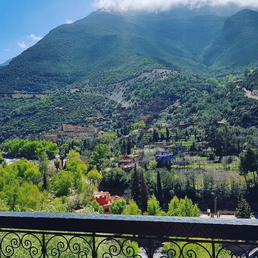 Ourika Valley Waterfalls Day Trip From Marrakech - Guides, drivers, and the value of good local help