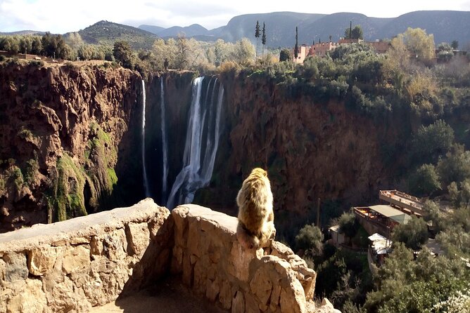 Ouzoud Waterfalls Full Day Trip From Marrakech - Who will enjoy this day trip most