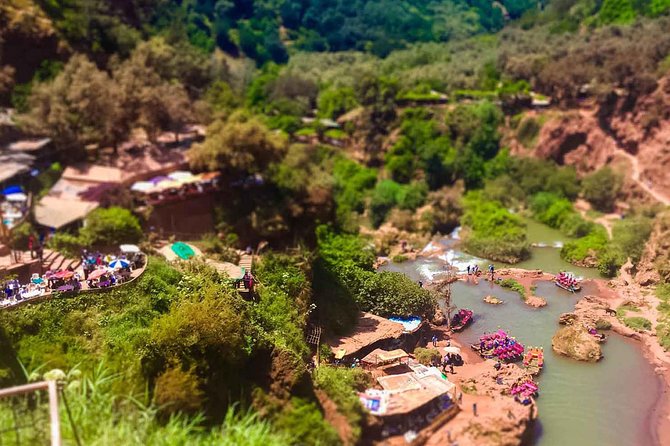 Ouzoud Waterfalls Guided Hike and Boat Trip from Marrakech - Monkeys, olive groves, and Berber culture