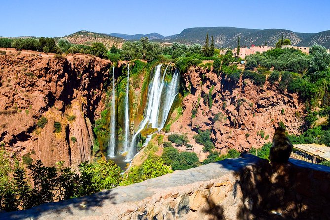 Ouzoud Waterfalls Guided Hike and Boat Trip from Marrakech - Is the $29.92 price good value?