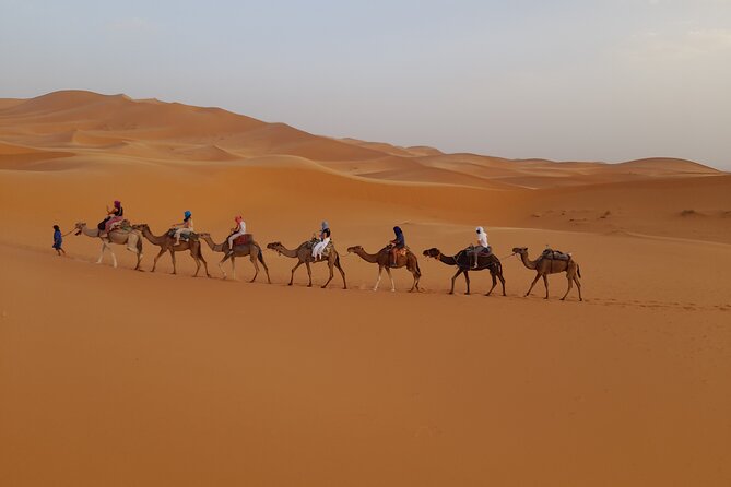 Overnight Camel trek in Merzouga dunes - Practical details that can shape your night
