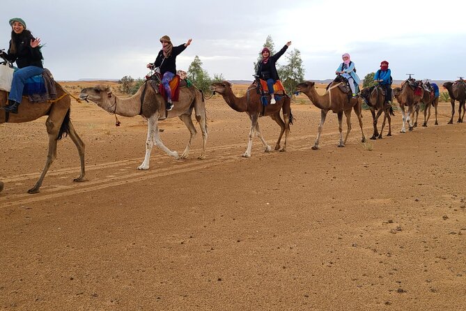 Overnight Camel trek in Merzouga dunes - Should you book the Merzouga camel trek?