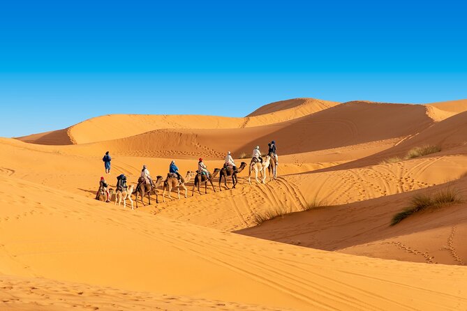 Overnight Camel trek in Merzouga dunes - Sandboarding before the sun goes down