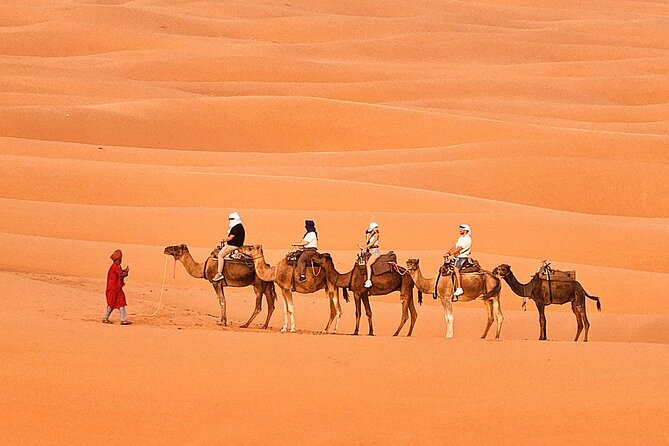 Overnight Camp Camel Trekking In Merzouga - Dinner, Berber Drums, and a Night in the Desert