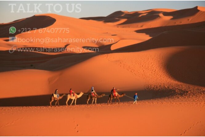 Overnight Camping in Merzouga Desert - Sandboarding in the Merzouga dunes