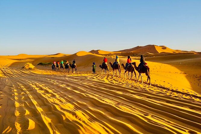 Overnight Camping in Merzouga Desert - Firelight, local music, and the night sky