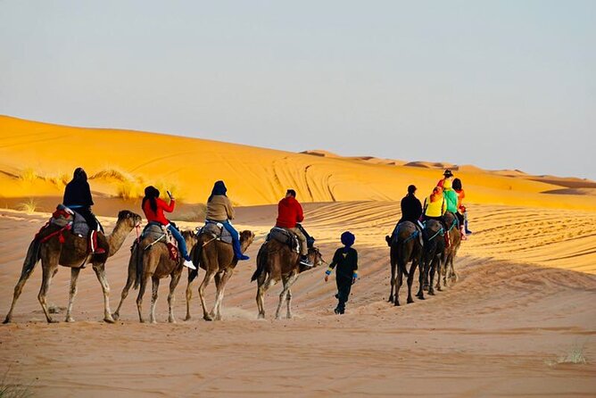 Overnight Camping in Merzouga Desert - Timing, transport, and what to confirm