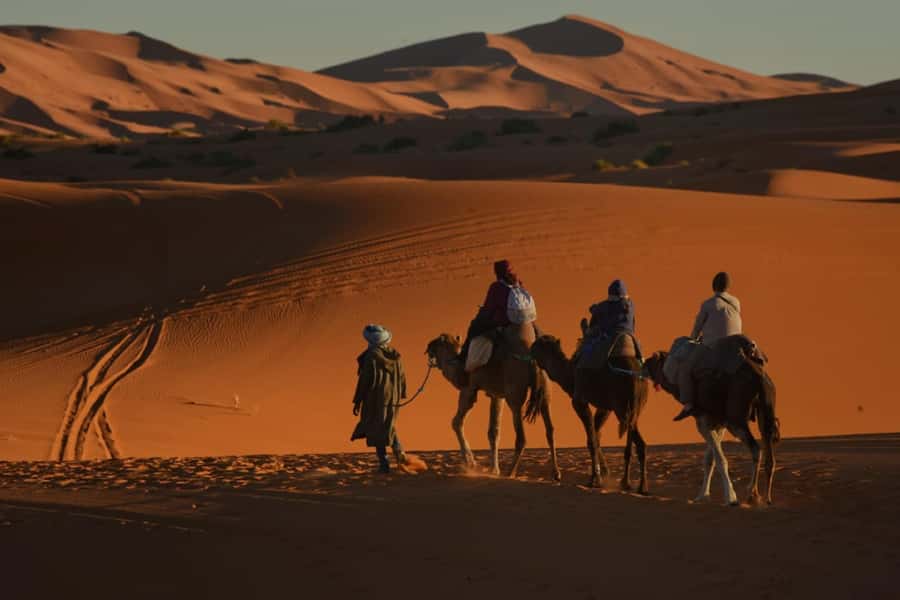 Overnight in Luxury Tent in Desert Camp Erg Chebbi Merzouga - Who will enjoy this desert camp most