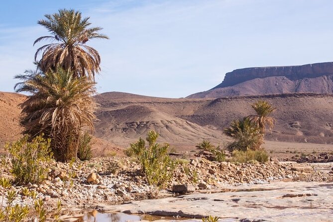 Overnight Sahara Tour from Marrakech to Mhamid - 8:00 a.m. departure from Marrakech