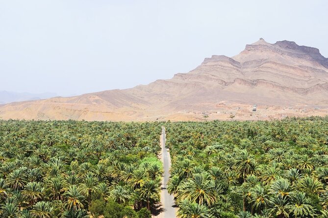 Overnight Sahara Tour from Marrakech to Mhamid - Ouarzazate, film history, and optional sights
