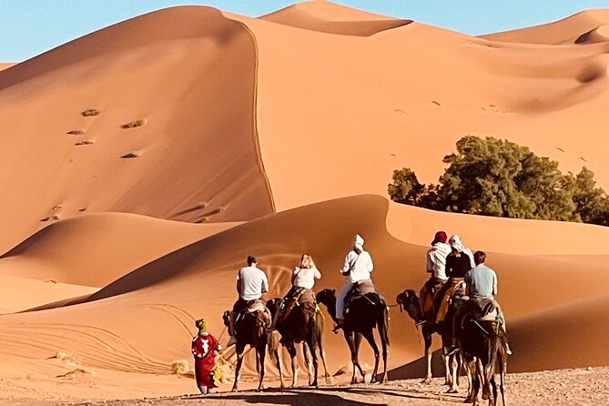 Overnight stay in desert camp & Camel trekking in the Sahara - Key points to know before you book