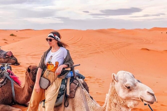 Overnight stay in desert camp & Camel trekking in the Sahara - What a three-hour camel ride feels like