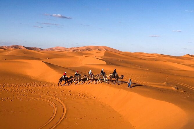 Overnight stay in desert camp & Camel trekking in the Sahara - Is $69.79 a fair price?