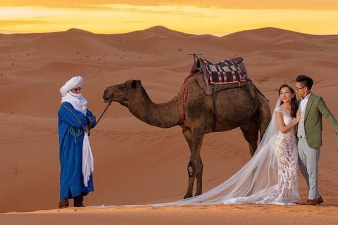 Overnight stay in desert camp & Camel trekking in the Sahara - Sunset from the high dunes