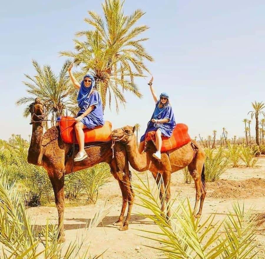 Palmeraie Marrakech Camel Ride & Quad Bike Package Exprience - Key points to know before booking