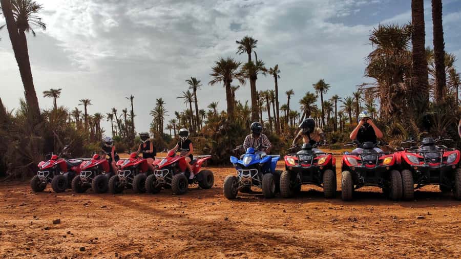 Palmeraie Marrakech Camel Ride & Quad Bike Package Exprience - A short camel ride through the palms