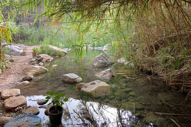 Paradise Valley and Atlas Mountains Adventure in Agadir - What the natural pools are really like