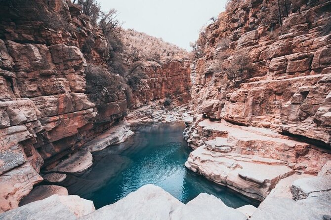 Paradise Valley & Atlas Mountains Adventure with optional LUNCH - Key points to know before you book
