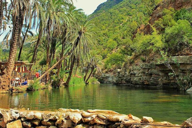 Paradise Valley & Atlas Mountains Adventure with optional LUNCH - The argan oil stop adds useful local detail