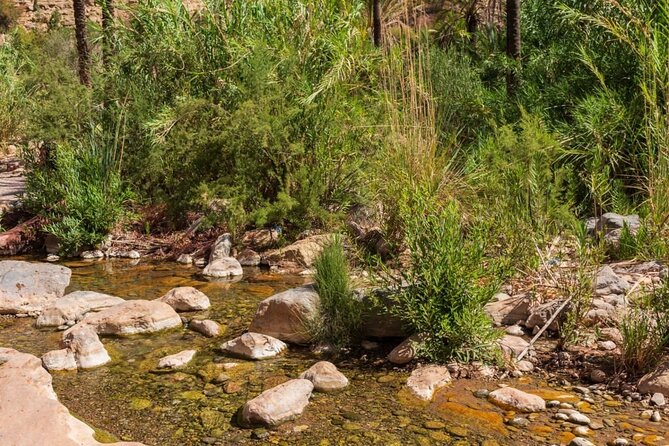 Paradise Valley & Atlas Mountains Adventure with optional LUNCH - What the guides add to the day