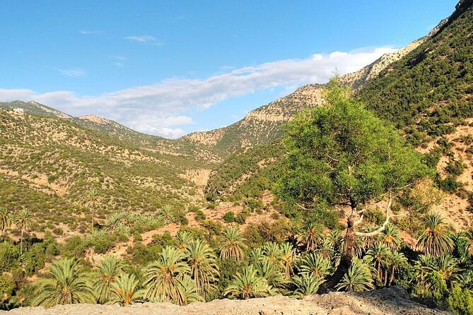 Paradise Valley & Atlas Mountains Adventure with optional LUNCH - The botanical garden breaks up the journey