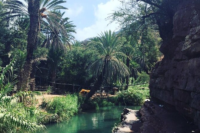 Paradise Valley & The Old Taghazout village Private Tour - Paradise Valley: beautiful, peaceful, and seasonal