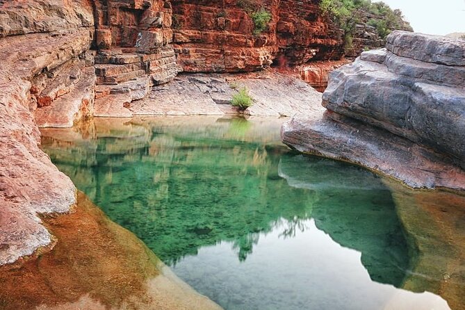 Paradise Valley & The Old Taghazout village Private Tour - What the guide adds to the day