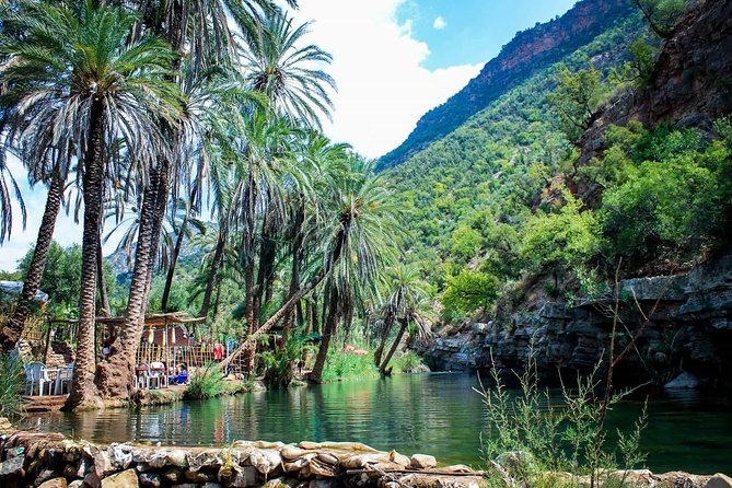 Paradise Valley & The Old Taghazout village Private Tour - The road north through banana country and the Atlas foothills
