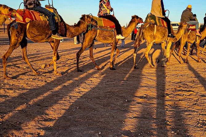 Premium Agafay Desert: Camel, Quad, Dinner & Fire Show - The ATV ride brings the most action