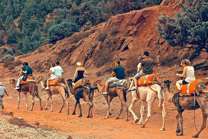 Premium Atlas Mountains & Berber Village Day Trip with Camel Ride - Why this Atlas Mountains day trip is worth your time