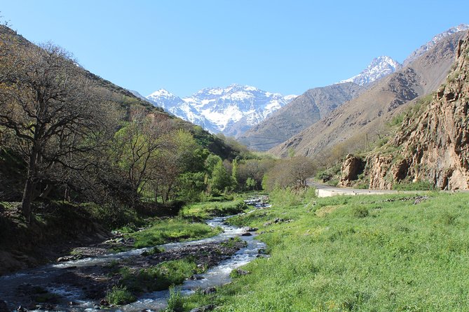 Premium Atlas Mountains & Berber Village Day Trip with Camel Ride - Practical details that affect your decision