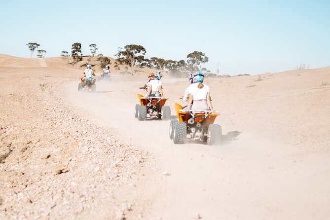 Privat Day Trip Agafay Desert - What private touring changes