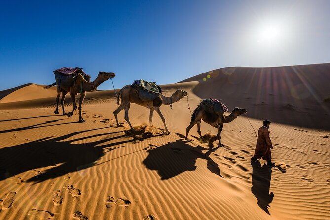 Private 2-days Desert tour from Marrakech to Mhamid Dunes Camel (All-inclusive) - A fast route from Marrakech to the Sahara