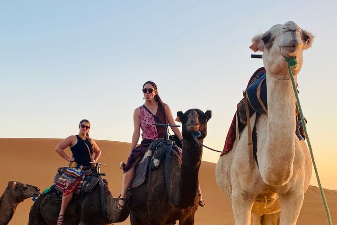 Private 4 Days Tour From Marrakech to Fes Via Merzouga Desert - Who should book this route