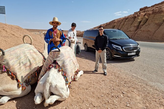 Private Ait Ben Haddou Tour with Road of the Kasbahs from Marrakech - Who should book this day trip