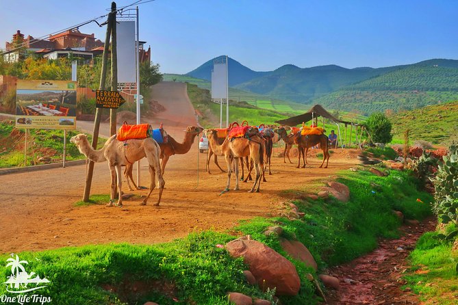 Private Atlas Mountains Day Trip - Key points at a glance