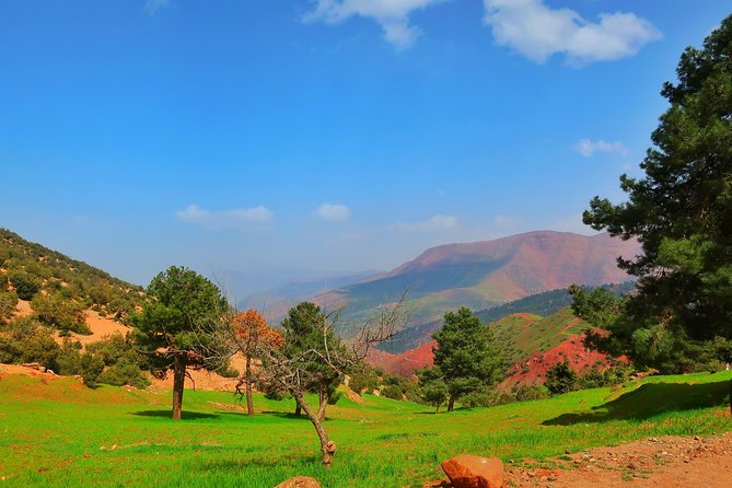 Private Atlas Mountains Day Trip - Is $87.24 good value?