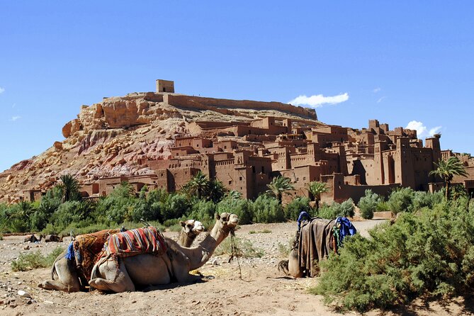Private Day tour From Marrakech to Ouarzazate and Ait Ben Haddou - Crossing the Atlas Mountains at Tizi n Tichka