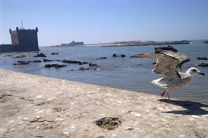 Private Day Trip from Marrakech to Essaouira City - Entering the Essaouira medina