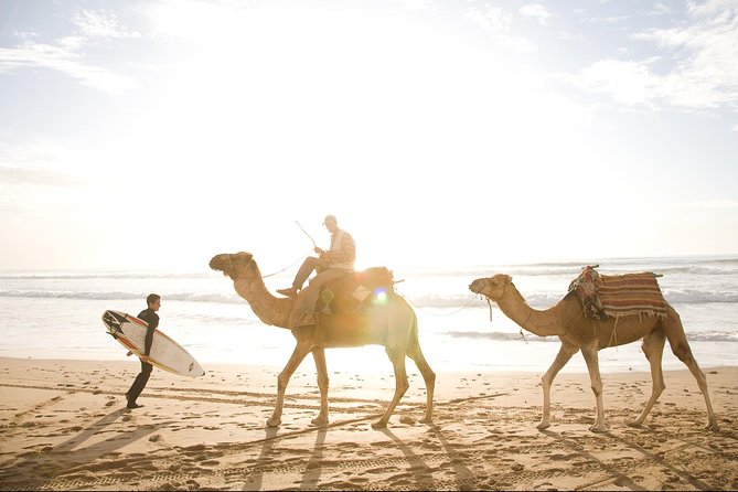 Private Day Trip from Marrakech to Essaouira City - What the guides add to the experience
