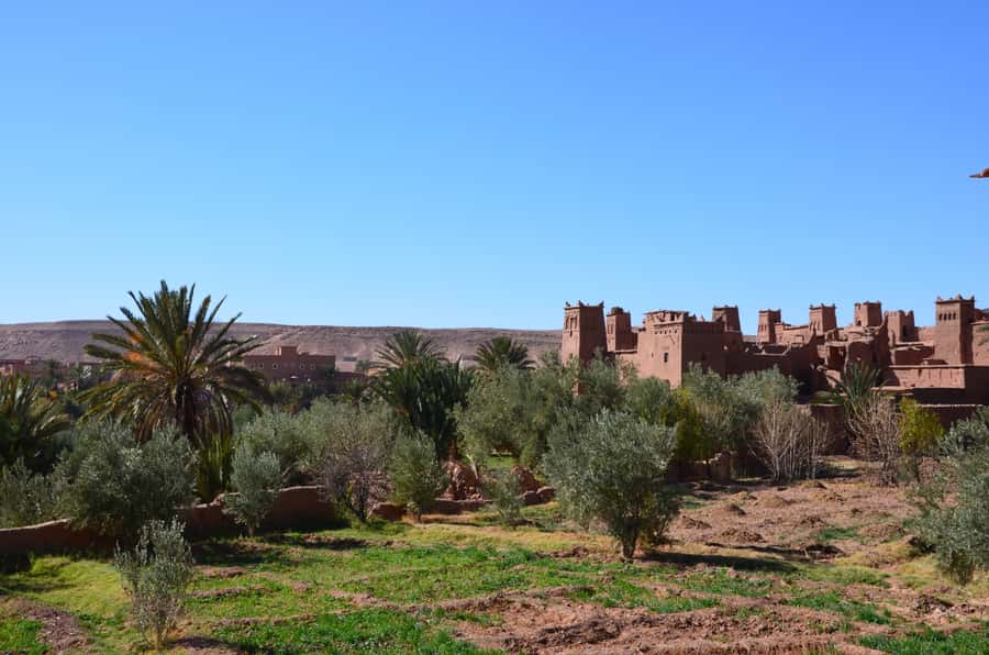 Private Day Trip To Ouarzazate & Ait Ben Haddou Kasbah - Final call: good reach, long road