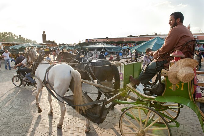 Private Driver for a full day in Marrakech - Planning your Marrakech route for eight hours
