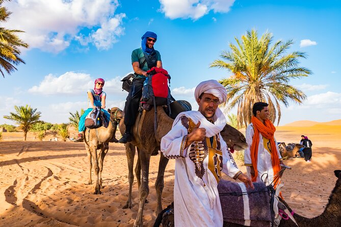 Private Driver for a full day in Marrakech - Who will get the most from this service