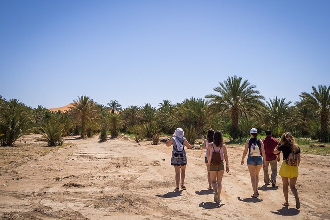 Private Driver for a full day in Marrakech - Starting the day at your chosen meeting point