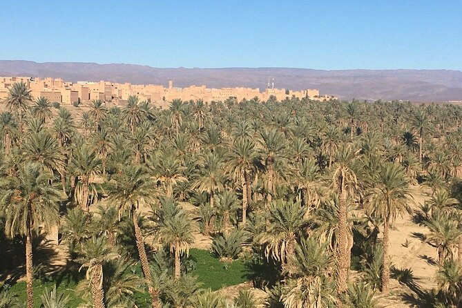 Private Excursion from Ouarzazate to Gorges Dades, Valley of Roses and Skoura - The vehicle, guides, and personal service